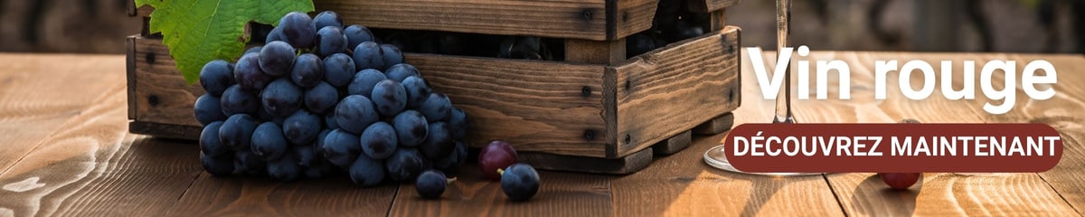 Bannière de catégorie