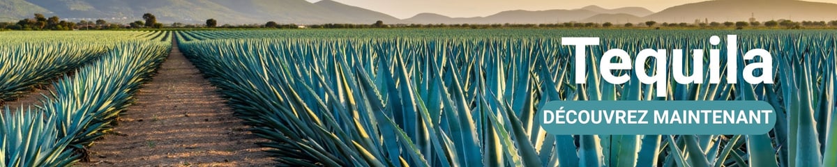 Bannière de catégorie