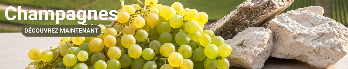 Bannière de catégorie