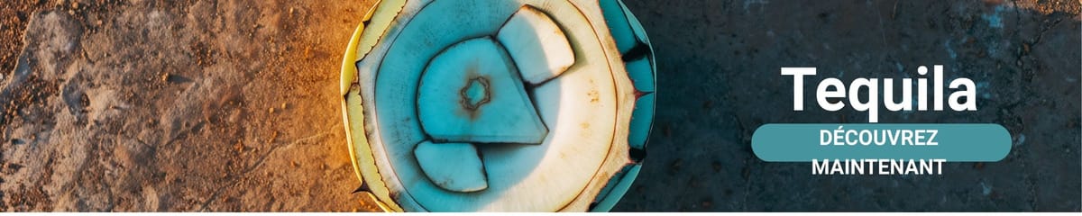 Bannière de catégorie