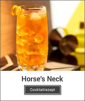 Horses Neck