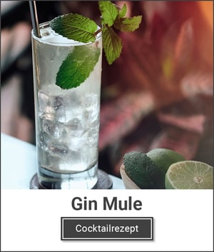Gin Mule