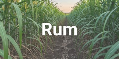 Rum