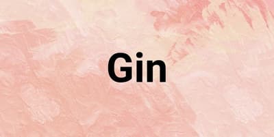 Gin