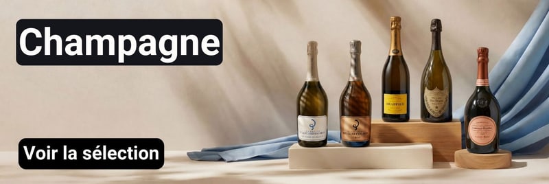 Promotion Banner