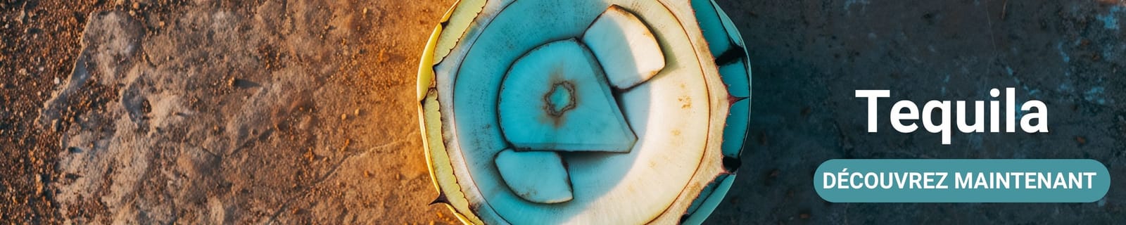 Bannière de catégorie