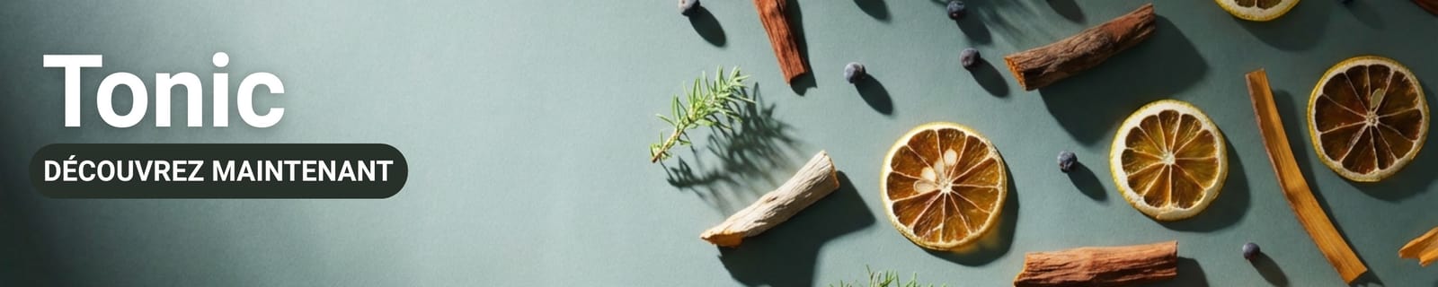 Bannière de catégorie