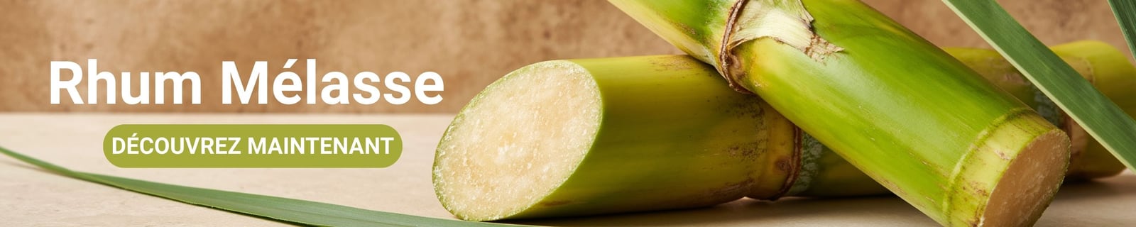 Bannière de catégorie