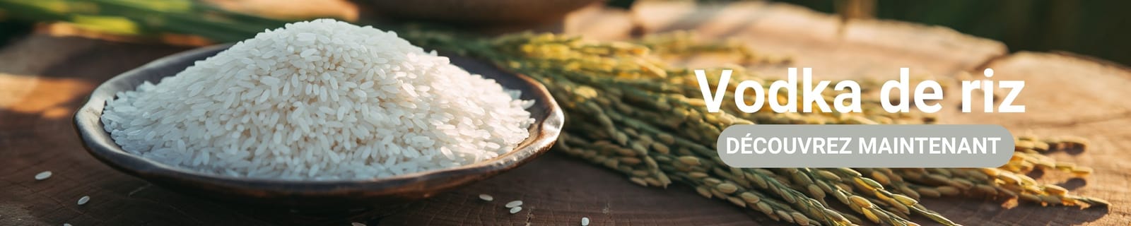 Bannière de catégorie