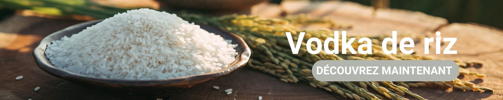 Bannière de catégorie