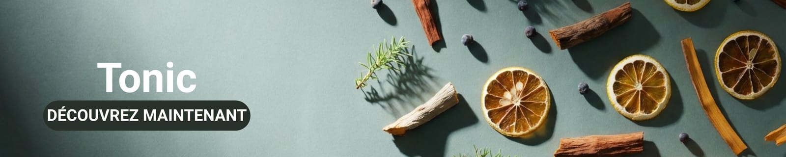 Bannière de catégorie