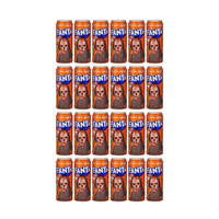 Fanta Orange 33cl 24er Pack