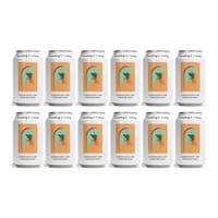 Something & Nothing Ginger & Key Lime Premium Soda 33cl 12er Pack