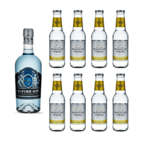Lebensstern Alpine Gin 70cl mit 8x Swiss Mountain Spring Classic Tonic Water
