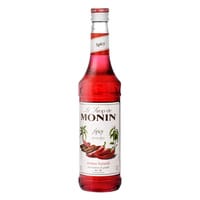 Monin Sirop Spicy 70cl