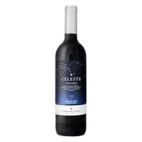 Torres Pago del Cielo Celeste Crianza DO 2021 75cl