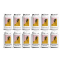 Something & Nothing Pineapple and Pink Grapefruit Premium Soda 33cl 12er Pack