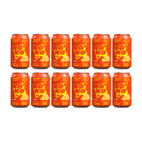 XOXO Prebiotic Orange Sparkling Soda 33cl 12er Pack