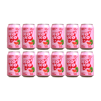 XOXO Prebiotic Watermelon Sparkling Soda  33cl 12er Pack