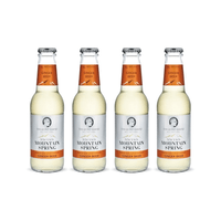 Swiss Mountain Spring Ginger Beer 20cl 4er Pack