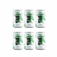 YEAAH Lime Hard Seltzer (Limited Edition) 33cl, 6er-Pack