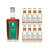 The Seventh Sense G&V Frucht- und Gewürzlikör 50cl mit 8x Swiss Mountain Spring Ginger Beer