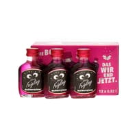 Kleiner Feigling Red Berry Sour Liqueur 12x2cl