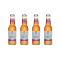 Swiss Mountain Spring Salty Grapefruit Lemonade 20cl, 4er-Pack