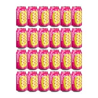 Poppi Strawberry Lemon Soda 33cl 24er Pack