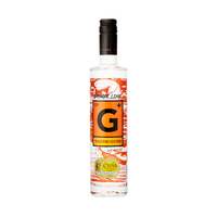 Gin+ Tangerine 50cl