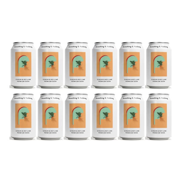 Something & Nothing Ginger & Key Lime Premium Soda 33cl Pack de 12