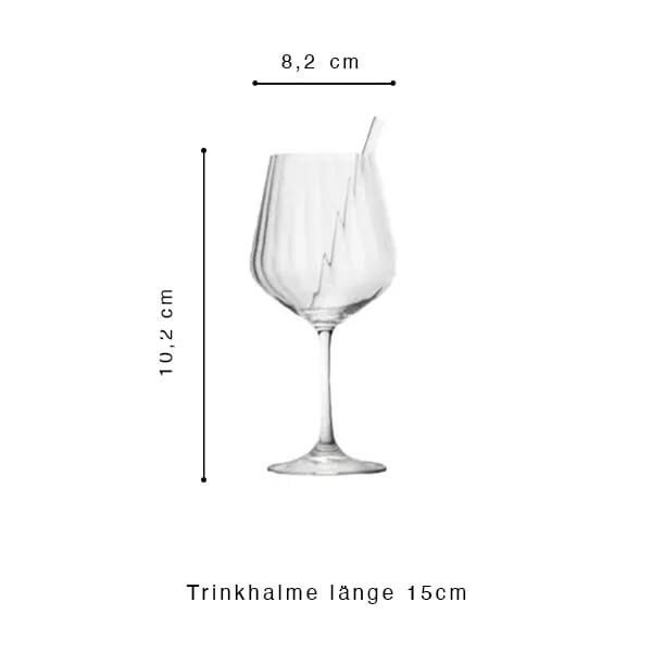 Nachtmann Gin Tonic Set quatre pièces avec 4 pailles en verre et brosse de nettoyage