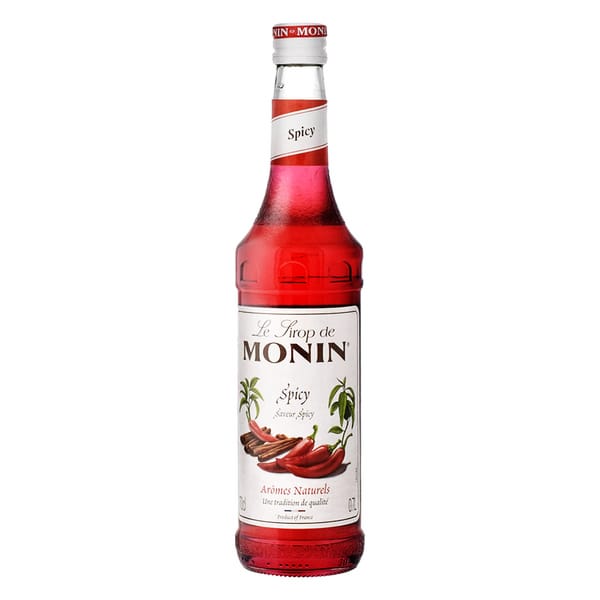 Monin Sirop Spicy 70cl