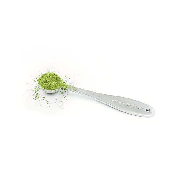 Avantcha Stainless Steel Matcha Spoon