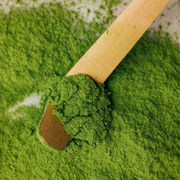 Health Bar Traditional Bio Thé Matcha 50g