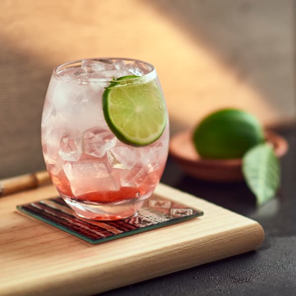 Paloma
