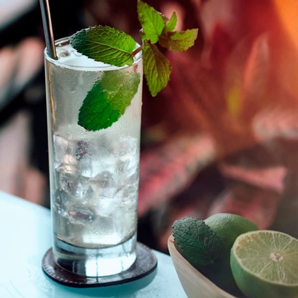 Gin Mule